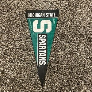 Michigan State Spartans NCAA Mini Pennant Rico Tag Express Pin Holes Used 9”